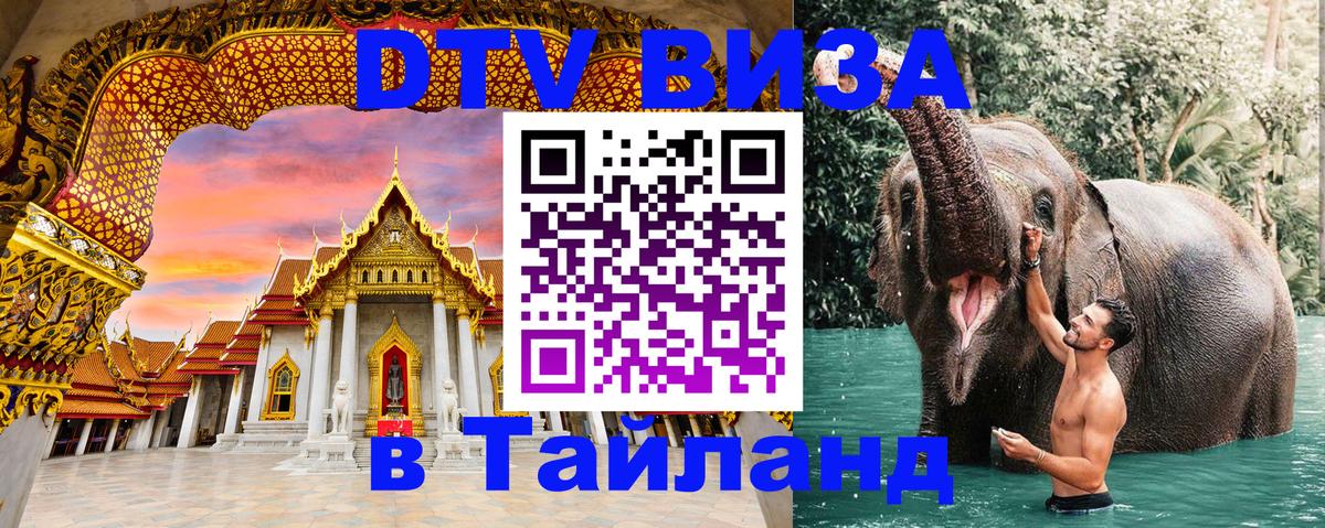 Сколько стоит DTV виза — актуальные цены, оформление даже без документов - 04.10.2025 